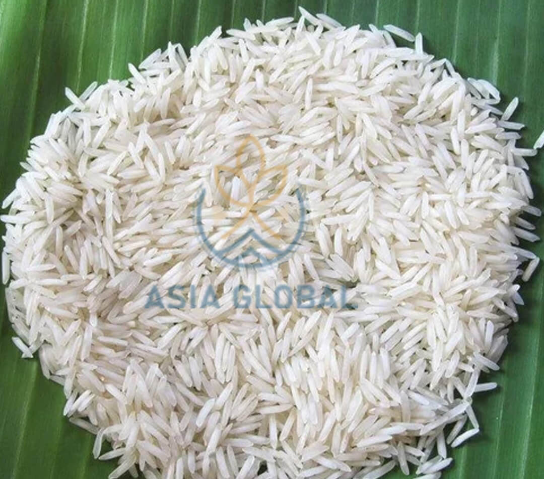 largest exporters of rice