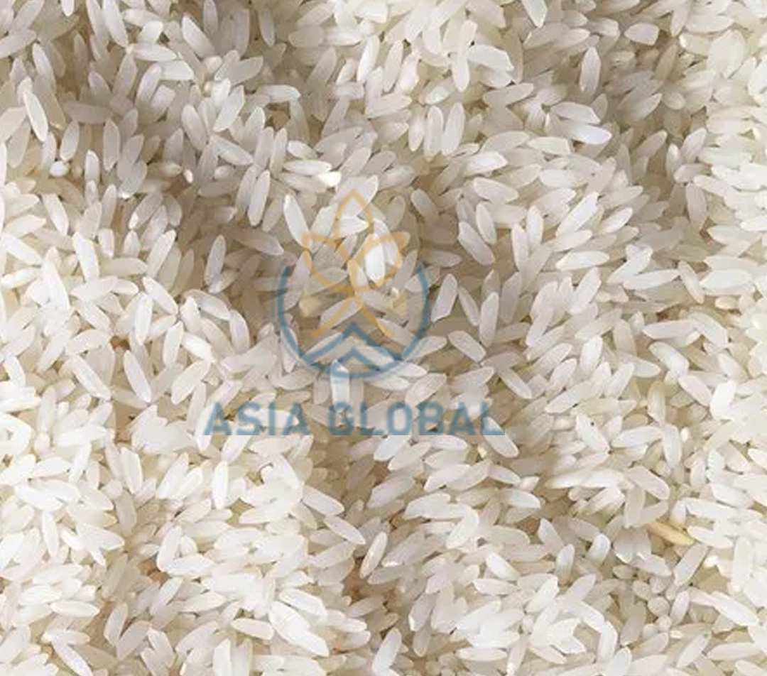 non basmati rice suppliers