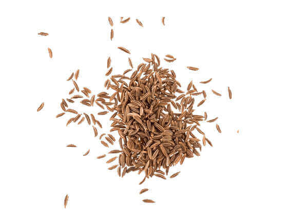 cumin seeds exporters in india