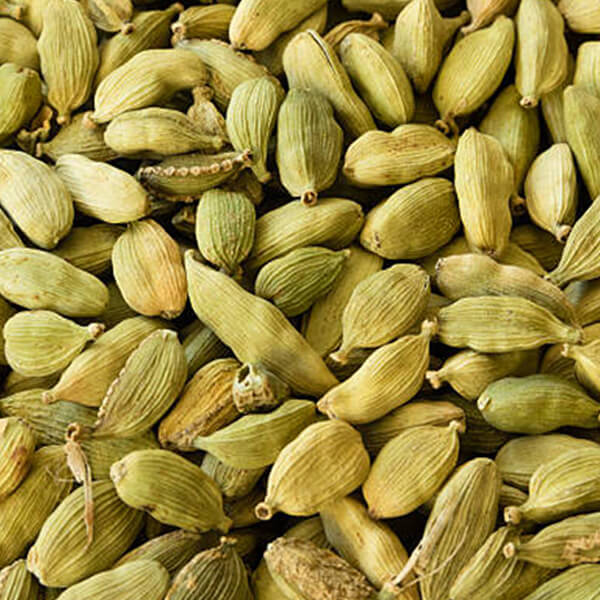 india cardamom specifications