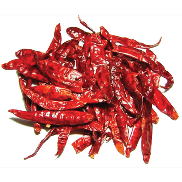 chilli export from india