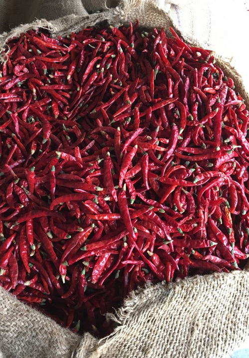 red chilli powder in india