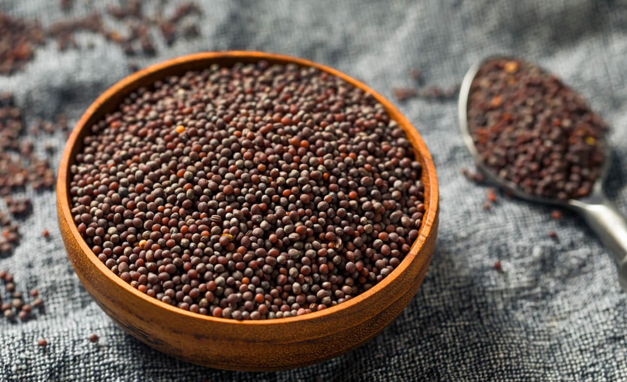 mustard seeds from india