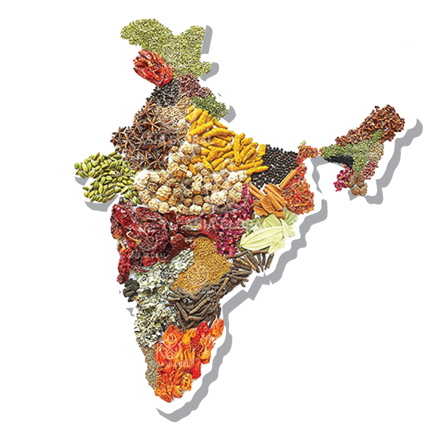 exporters of spices in india